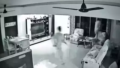 113046683