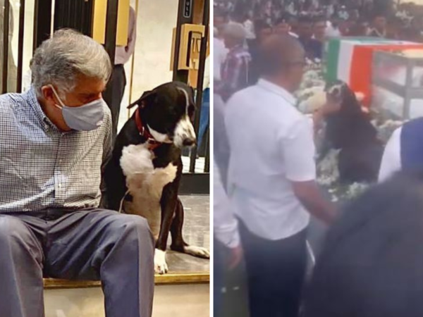 ratan-tata-with-his-dog-goa